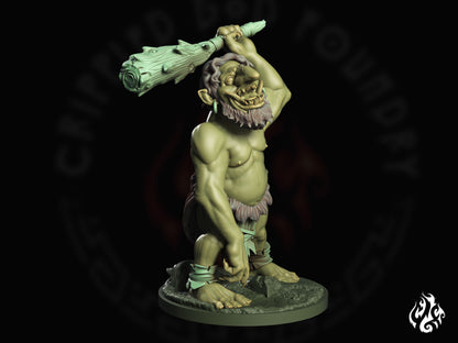 Bog Trolls