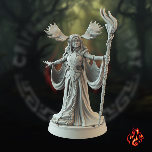 Lyrei, druide elfe