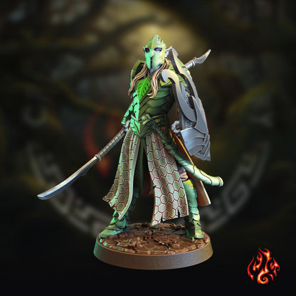 Guerriers elfes