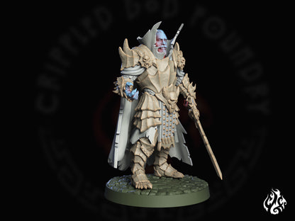 Mortas, Sanguine Paladin