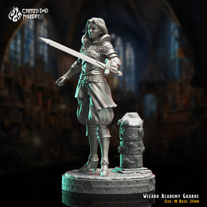 Wizard Academy Guards