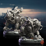 Cyber Bears