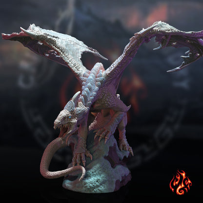 Cadmush le Wyrm de givre | Dragon blanc