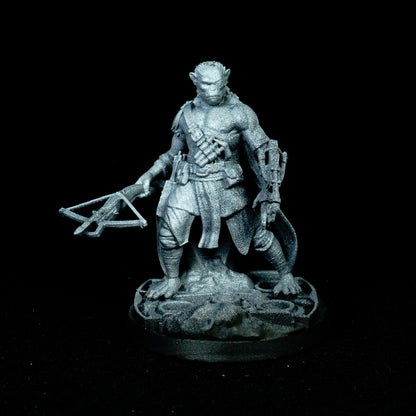 Hallek, the Hadozee Rogue