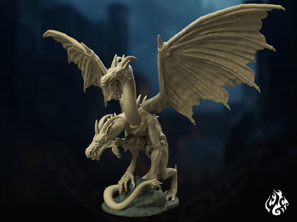 Dragon à deux têtes