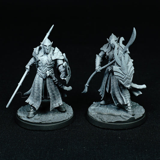 Elf Warriors