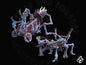 Skeleton War Machines