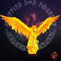 Oiseau de feu