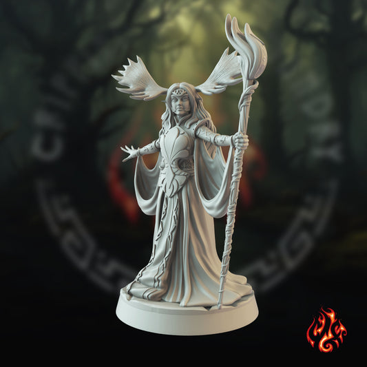 Lyrei, druide elfe