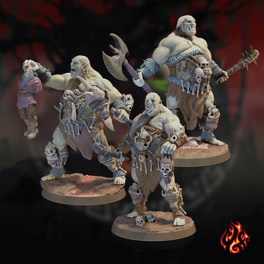 Guerriers ogres