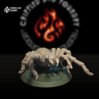 Pack d'araignées géantes