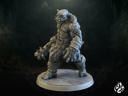 Dungeon Ogre