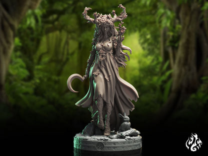 Alyndra, Circle of the Land Druid