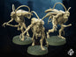 Cockroach men