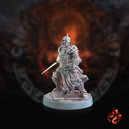 Guerriers du Dragon Noir