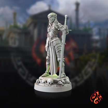 Paladin de la mort