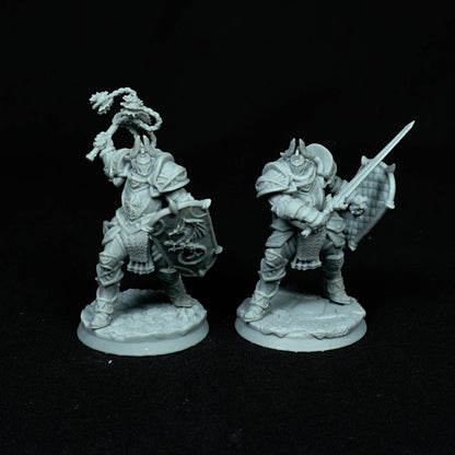 Silver Dragon Knights