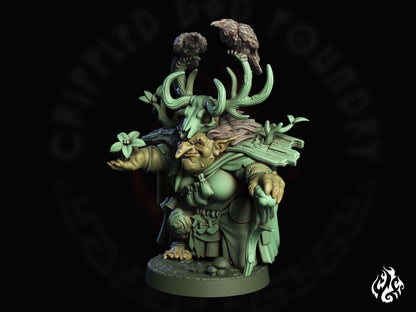 Blirta, druide demi-troll