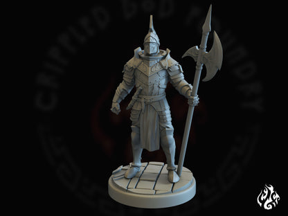 City Knights