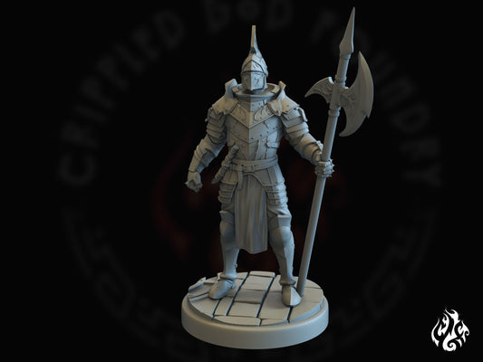City Knights