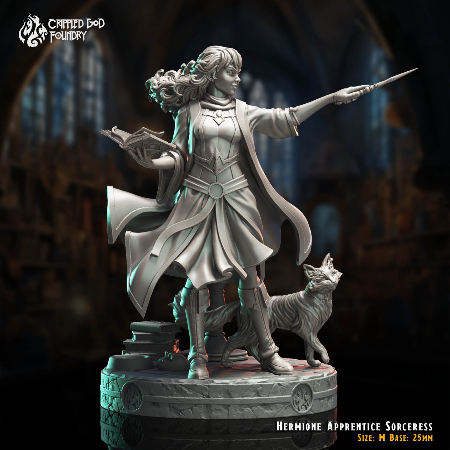 Hermione Apprentie Sorcière