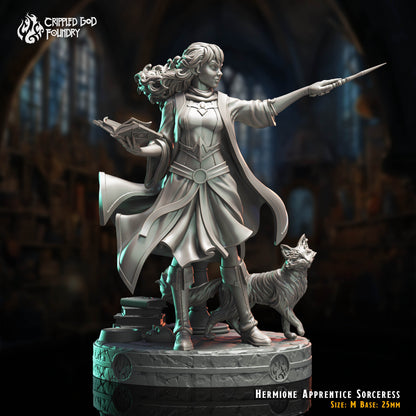 Hermione Apprentie Sorcière