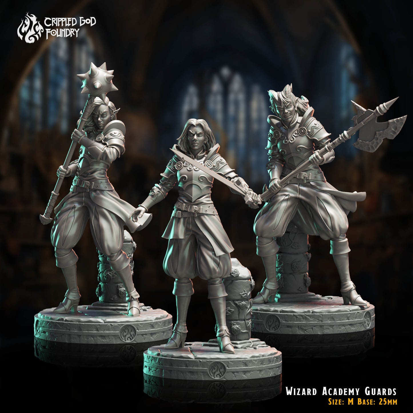 Wizard Academy Guards