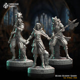 Wizard Academy Guards