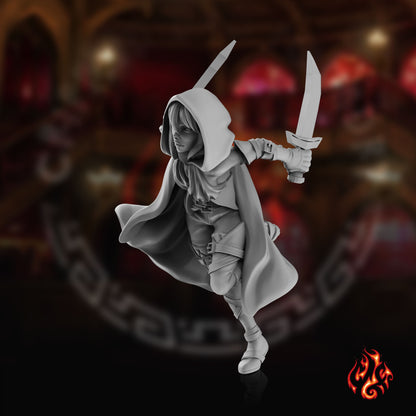 Dark Mantle Assasin