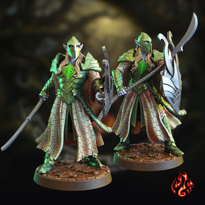 Guerriers elfes