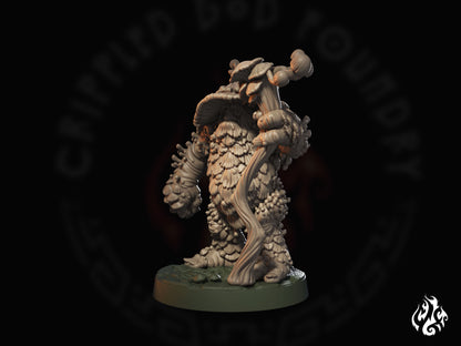 Amanita Shaman