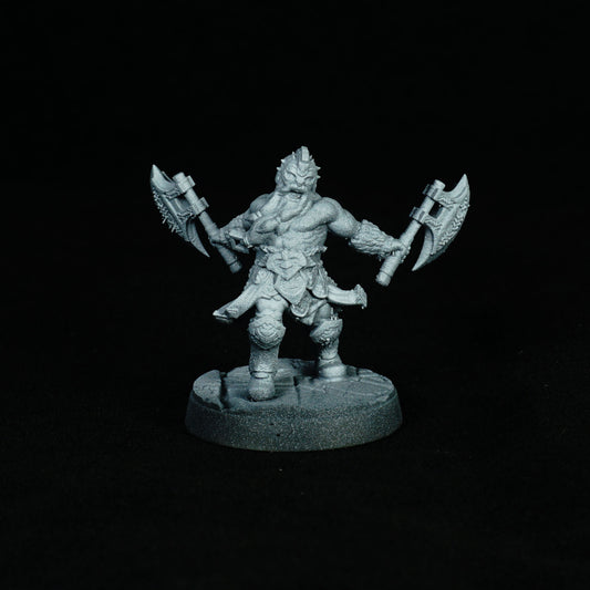 Berserker nain