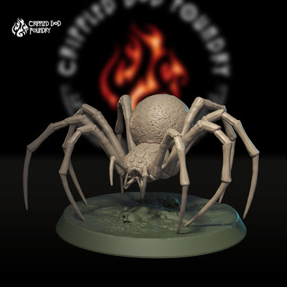 Pack d'araignées géantes