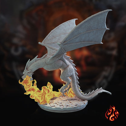Jóvenes dragones negros