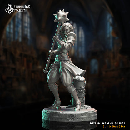 Wizard Academy Guards