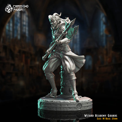Wizard Academy Guards