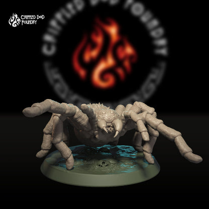 Pack d'araignées géantes