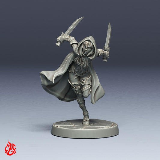 Assassin du Manteau Sombre
