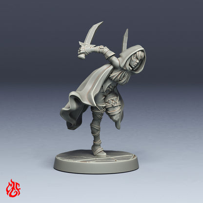 Asesino del Manto Oscuro