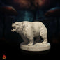 Bears