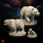 Bears